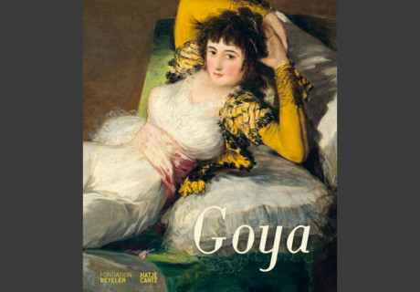 Goya Katalog